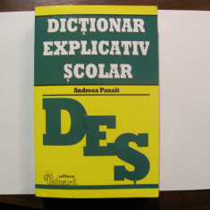 PVM - Andreea PANAIT "Dictionar Explicativ Scolar"