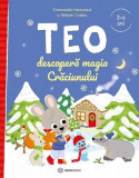 Cumpara ieftin Teo Descopera Magia Craciunului, Emmanuelle Massonaud, Melanie Combes - Editura Bookzone