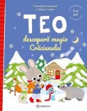 Cumpara ieftin Teo Descopera Magia Craciunului, Emmanuelle Massonaud, Melanie Combes - Editura Bookzone