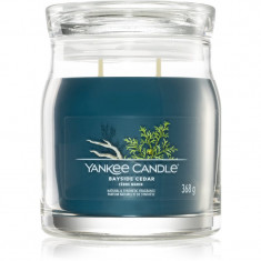 Yankee Candle Bayside Cedar lumânare parfumată I. 368 g