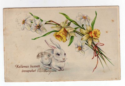 FELICITARE DE PASTI IEPURAS CU FLORI foto