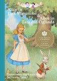 Alice &icirc;n Ţara Minunilor &amp; Alice &icirc;n Ţara din Oglindă. Repovestire după scrierile lui Lewis Carroll