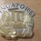 M3 C2 - Magnet frigider - tematica turism - Singapore 1