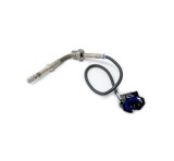 Senzor presiune gaze evacuare Chevrolet Captiva (C100, C140), 06.2006-; Opel Antara (L07), 05.2006-, RapidAuto E150062