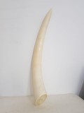 Corn vintage deosebit