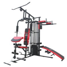 Aparat multifunctional HMS Tytan 12 FitLine Training