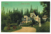 780 - SINAIA, Prahova, Pelisor castle, Romania - old postcard - unused, Necirculata, Printata