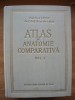 GHETIE / PASTEA / RIGA - ATLAS DE ANATOMIE COMPARATIVA - volumul I - 1954