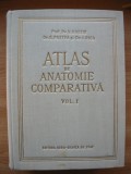 GHETIE / PASTEA / RIGA - ATLAS DE ANATOMIE COMPARATIVA - volumul I - 1954