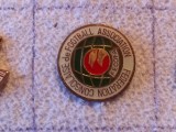 Insigna fotbal - Federatia de Fotbal din CONGO