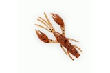 Năluca soft Fanatik Raider 2.2 inchi culoare 002
