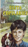 Cumpara ieftin Ulita Copilariei carte Ionel Teodoreanu atmosfera satului romanesc perioada interbelica povesti captivantecopilarie roman "Carti Povesti" brosata