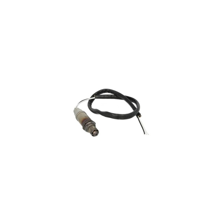 Sonda Lambda RENAULT KANGOO Express FC0 1 BERU OZH125