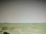 Cumpara ieftin CARTE POSTALA - BUCURESTI - PALATUL DLUI G GR CANTACUZINO