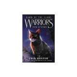 Warriors: Dawn of the Clans #6: Path of Stars