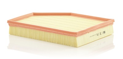 MANN-FILTER C 30 196 Filtru aer foto