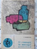 O Comoara in Mucegai. Penicilina - I. Bordeianu, 1964, 84 pagini. Carte Stiinta Biologie