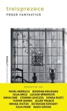 Treisprezece. Proza fantastica - Paperback - Allex Trușcă, Bogdan Răileanu, Cosmin Leucuța, Doina Ruști, Iulia Micu-Simoţ, Lucian M&icirc;ndruţă, Octavian S