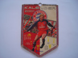 Calendar 2001 F.C. Bayern Munchen