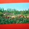 C.P.BUCURESTI -GRADINA BOTANICA CIRCULATA ANUL 1966