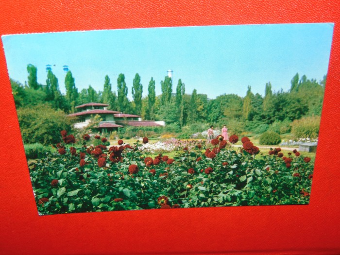 C.P.BUCURESTI -GRADINA BOTANICA CIRCULATA ANUL 1966