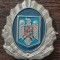 CUC / INSEMN CASCHETA - JANDARMERIE - EFECT MILITAR