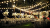Ghirlanda Luminoasa de Exterior, lungime 20 m, cu 4 Led/m, Glob Opac