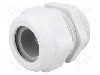 Presetupa poliamida, PG36, IP68, HSK-K, HUMMEL - 1.209.3600.15
