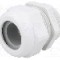 Presetupa poliamida, PG36, IP68, HSK-K, HUMMEL - 1.209.3600.15