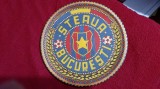 Farfurie ornamentala Steaua Buc.