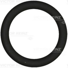 VICTOR REINZ 40-76919-00 Garnitura, galerie admisie