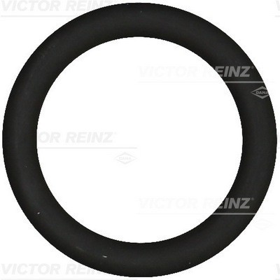 VICTOR REINZ 40-76919-00 Garnitura, galerie admisie