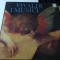 Concerte - Vivaldi, I musici, 18 vinil box