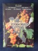 Podgoria Cotnari &ndash; V.D. Cotea, M. Ciubotaru, N.N. Barbu, Univers Enciclopedic