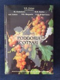 Podgoria Cotnari &ndash; V.D. Cotea, M. Ciubotaru, N.N. Barbu, Univers Enciclopedic