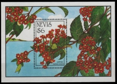 NEVIS 1993 FLORI foto