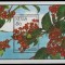 NEVIS 1993 FLORI
