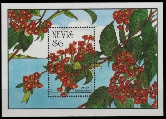 NEVIS 1993 FLORI