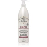 Alfaparf Milano Il Salone Milano Magnificent șampon pentru păr vopsit 1000 ml