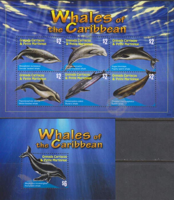 Timbre cu balene din Caraibe din Grenada Carriacou et Petite Martinique