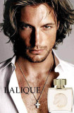 Lalique Pour Homme Equus EDP 75ml pentru Bărbați fără de ambalaj, 75 ml