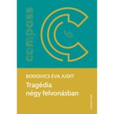 Trag&eacute;dia n&eacute;gy felvon&aacute;sban - Az 1878. &eacute;vi augusztusi miskolci &aacute;rv&iacute;z t&aacute;rsadalom- &eacute;s gazdas&aacute;gt&ouml;rt&eacute;nete - Bodovics &Eacute;va Judit
