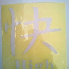 Abtibild scris chinezesc diverse scrisuri DZ 21 "High" gri reflectorizant