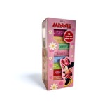 Disney Minnie - 10 kartonk&ouml;nyv - 10 db lapoz&oacute; d&iacute;szdobozban