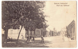 3109 - CEACOVA, Timis, Market, Romania - old postcard - used - 1910, Circulata, Printata