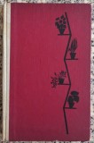 Plante de apartament si decoratiuni florale - Eugen Sadofsky, Amelia Militiu