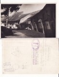 Harman, Honigberg ( Brasov) - rara
