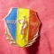 Insigna Aniversarea 100 Ani Independenta de Stat , h= 2,8cm ,metal si email