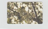 bnk card Cartele telefonice - Romania Romtelecom 2002 Spring 4 - Col:RO-ROM-0144A
