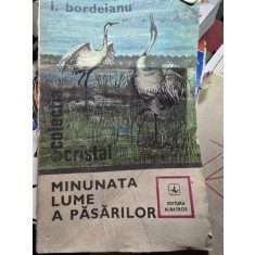 Minunata lume a pasarilor - I. Bordeianu
